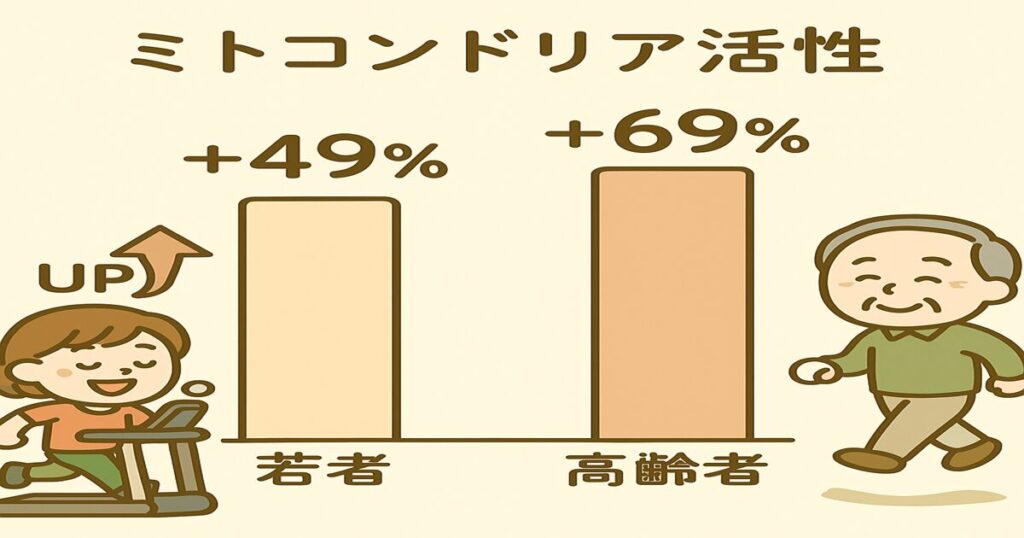 ミトコンドリア活性の改善を示す棒グラフ。若者で＋49%、高齢者で＋69%の上昇を表現。横に心肺機能や生活の質が向上したことを示すアイコン（息切れ解消、気分の明るさ、生活の充実感）が配置され、HIITの健康効果を視覚的に伝えている。
